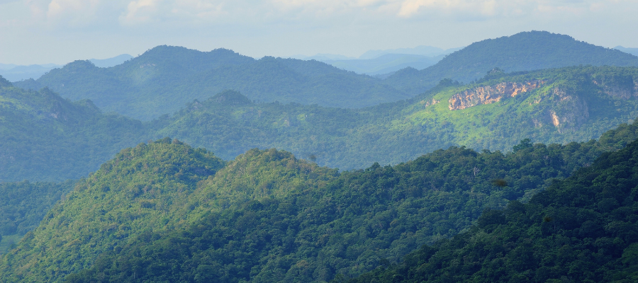 Le parc de Khao Yai en Thaïlande